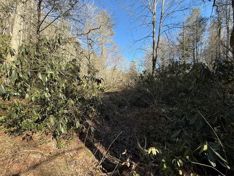 0 North Norton Cashiers NC 28717