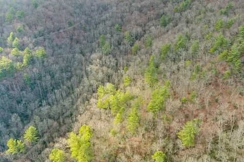 A-11 Rocky Gulch / Twin Lakes Drive Cashiers NC 28717