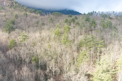 A-11 Rocky Gulch / Twin Lakes Drive Cashiers NC 28717