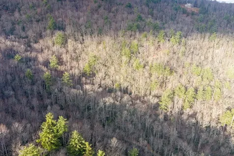 A-11 Rocky Gulch / Twin Lakes Drive Cashiers NC 28717