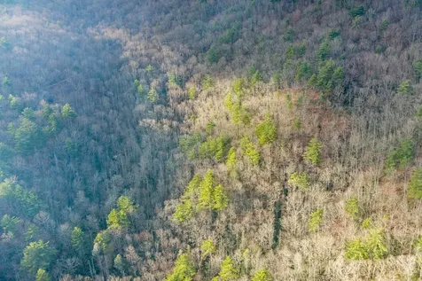 A-11 Rocky Gulch / Twin Lakes Drive Cashiers NC 28717