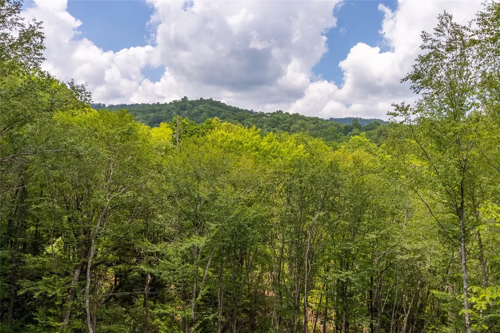1086 Roaming Road Glenville NC 28736