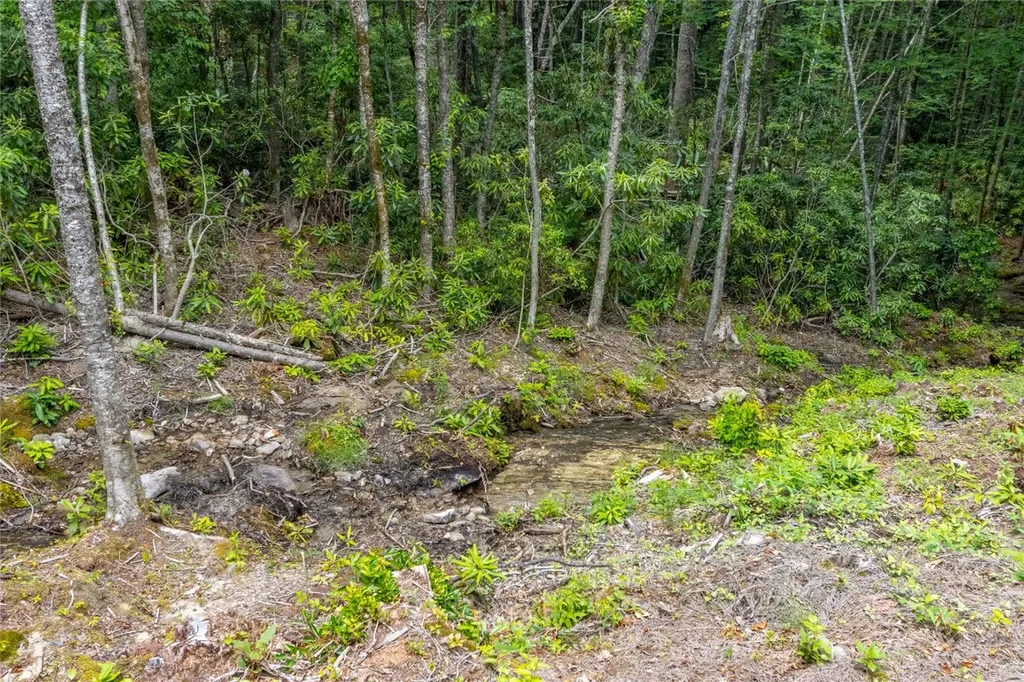 1086 Roaming Road Glenville NC 28736