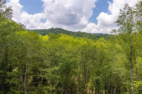 1086 Roaming Road Glenville NC 28736