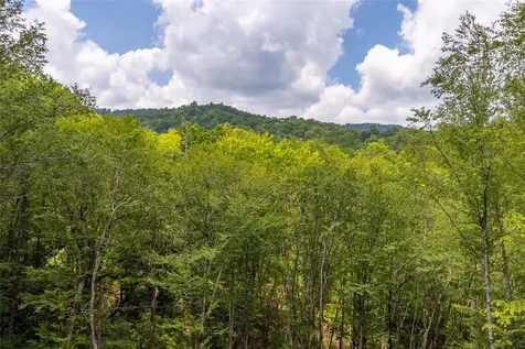 1086 Roaming Road Glenville NC 28736