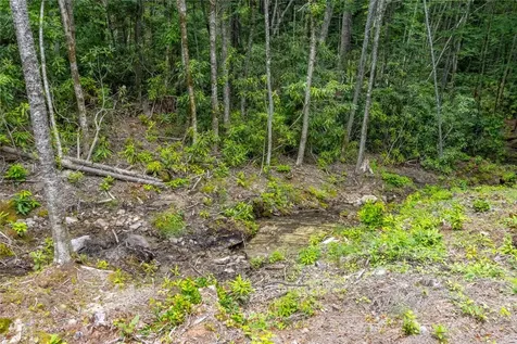 1086 Roaming Road Glenville NC 28736