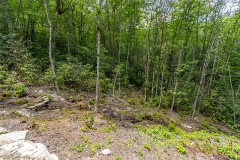 1086 Roaming Road Glenville NC 28736