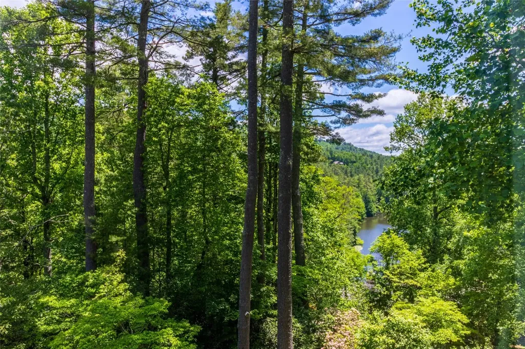 75 Holly Ridge Sapphire NC 28774