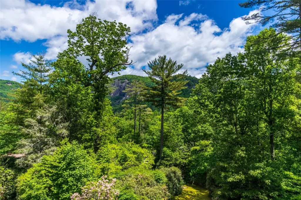 75 Holly Ridge Sapphire NC 28774