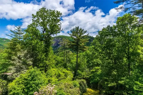 75 Holly Ridge Sapphire NC 28774