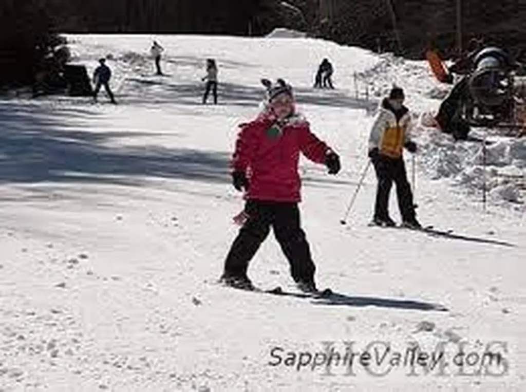 52 Hidden Grouse Lane Sapphire NC 28774