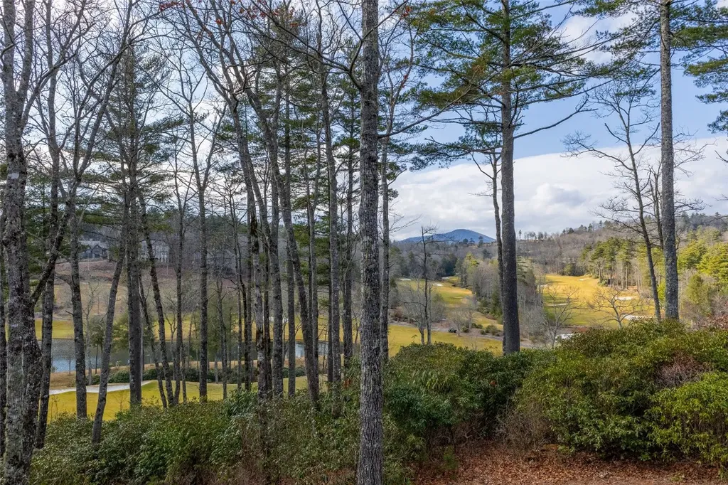 1303 Burl Lane Cashiers NC 28717