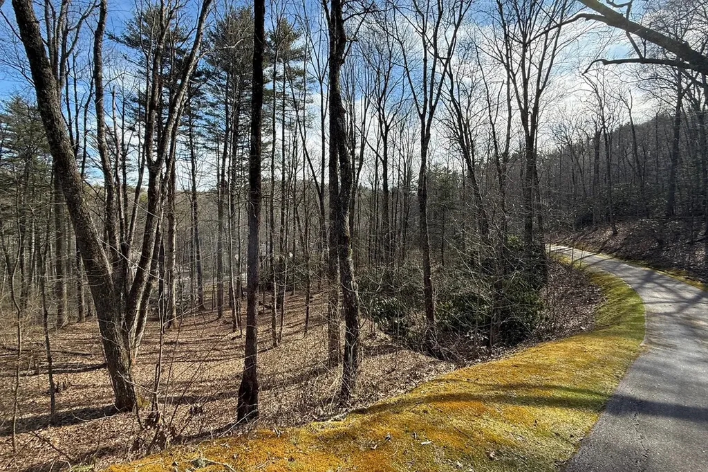 E-204 Thunder Creek Lane Cashiers NC 28717
