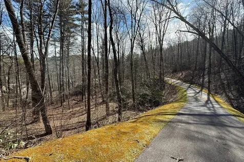 E-204 Thunder Creek Lane Cashiers NC 28717