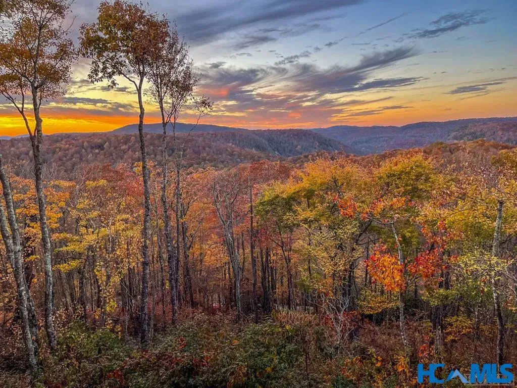 1696 Continental Drive Sapphire NC 28774