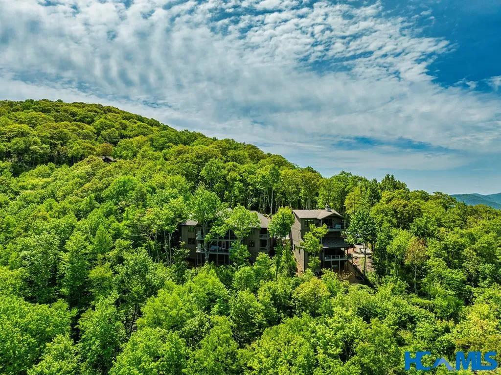 1696 Continental Drive Sapphire NC 28774