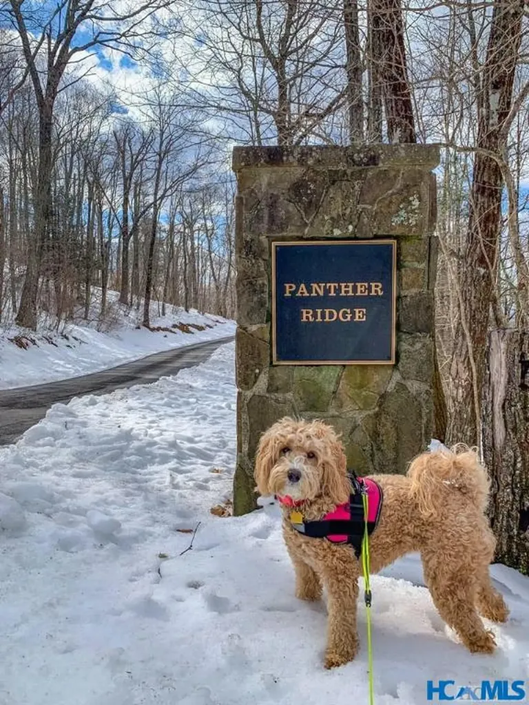 1696 Continental Drive Sapphire NC 28774