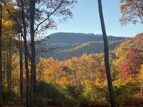 172 View Road Glenville NC 28736