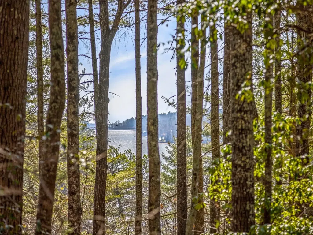 Tbd Panther Ridge Road Lake Toxaway NC 28747