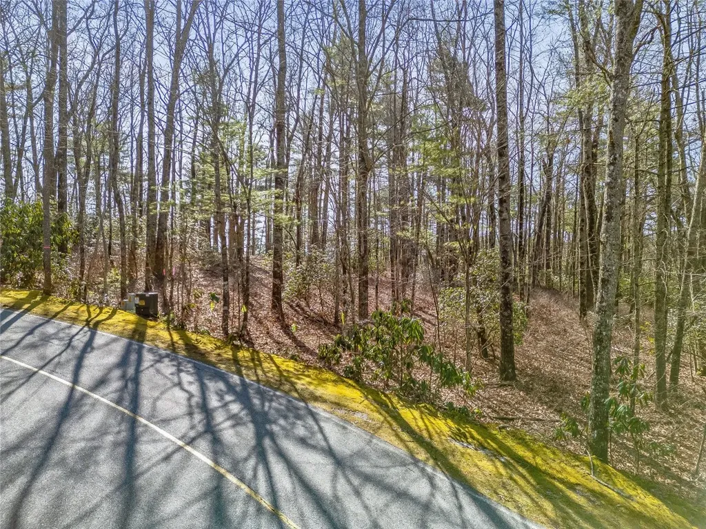 Tbd Panther Ridge Road Lake Toxaway NC 28747