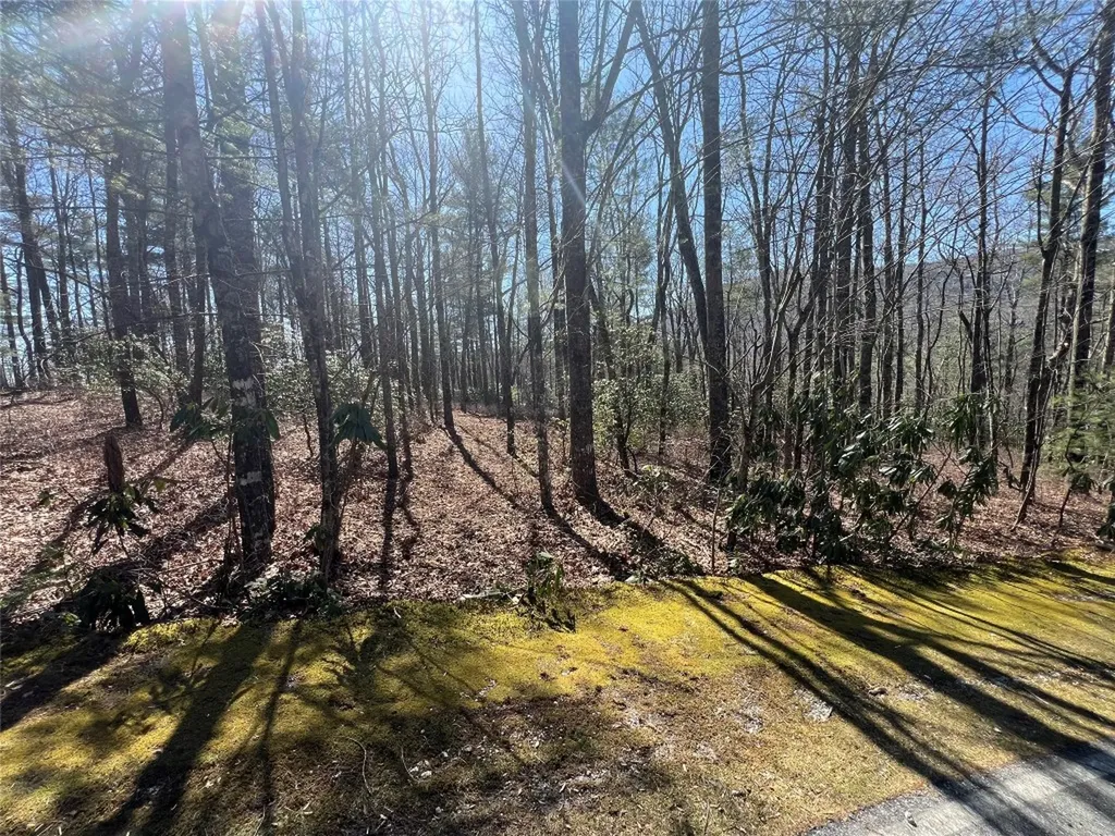 Tbd Panther Ridge Road Lake Toxaway NC 28747