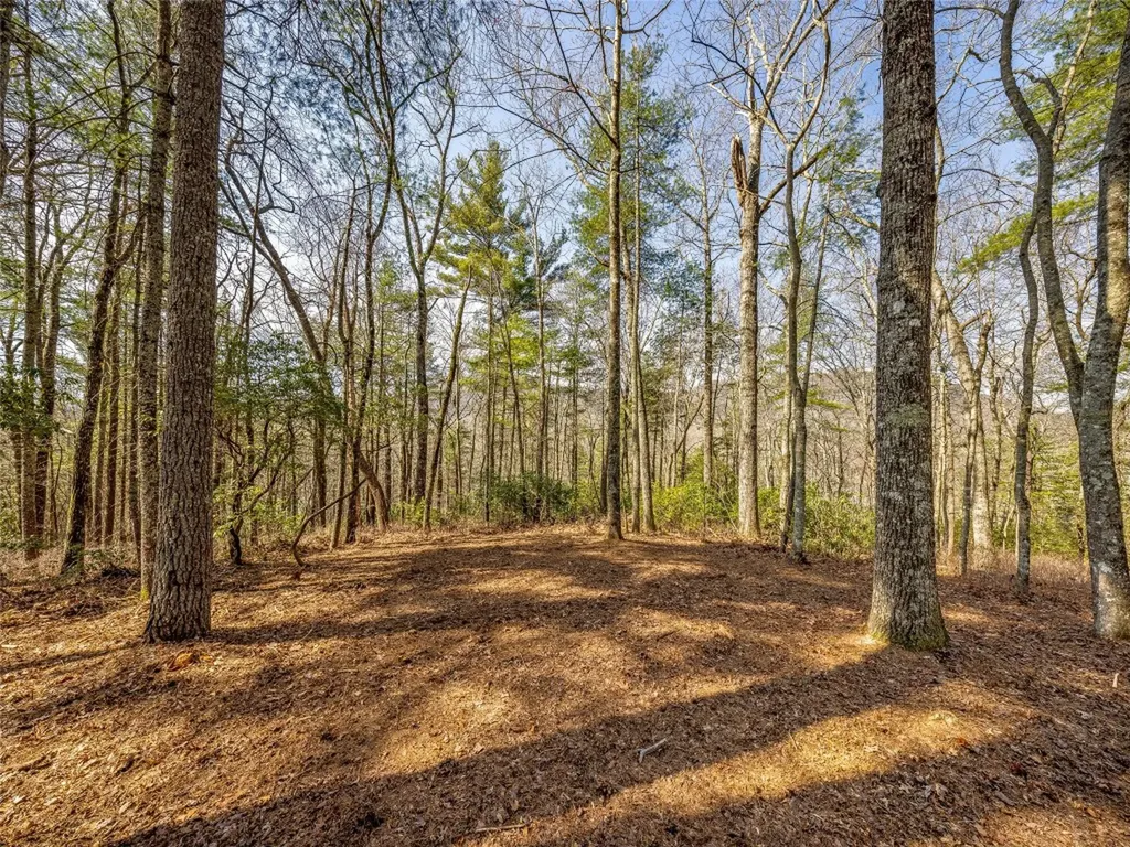 Tbd Panther Ridge Road Lake Toxaway NC 28747