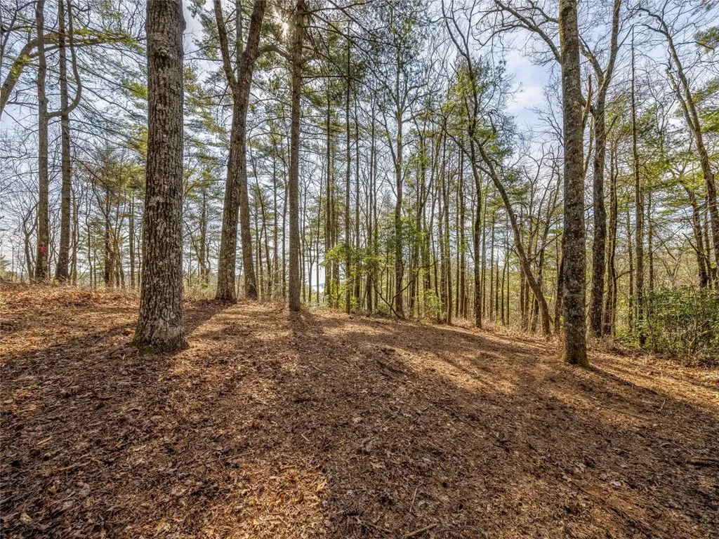 Tbd Panther Ridge Road Lake Toxaway NC 28747