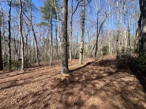 Tbd Panther Ridge Road Lake Toxaway NC 28747