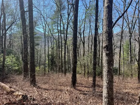 Tbd Panther Ridge Road Lake Toxaway NC 28747