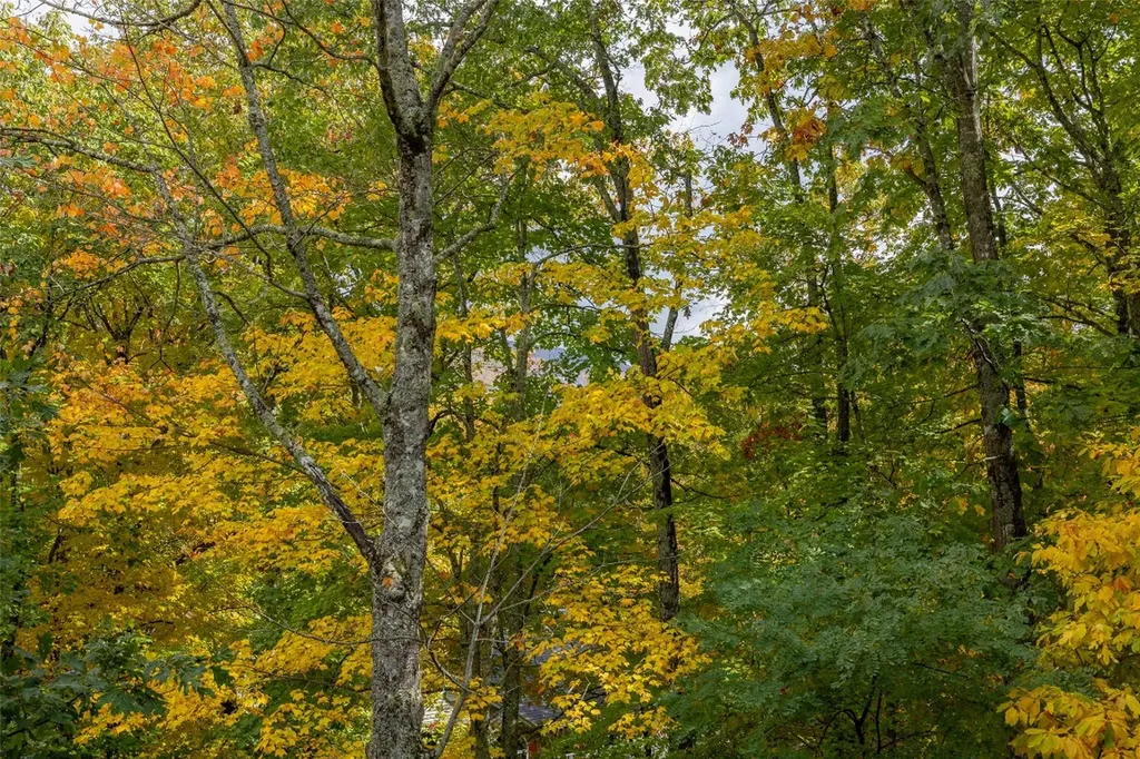 110 Kestrel Court Sapphire NC 28774