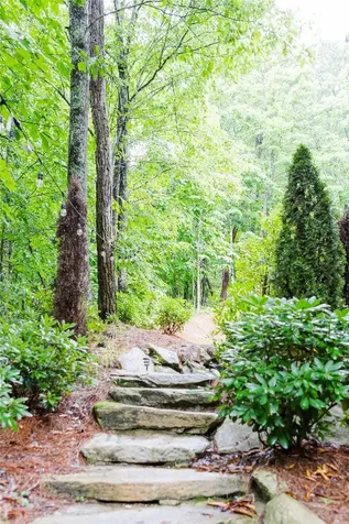 110 Kestrel Court Sapphire NC 28774