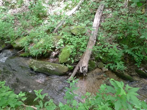 On Pasture Road Glenville NC 28736