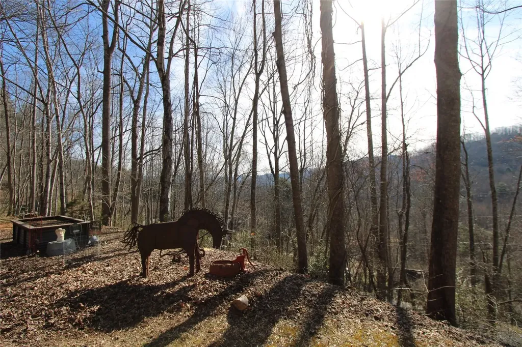 1142 North Country Club Drive Cullowhee NC 28723