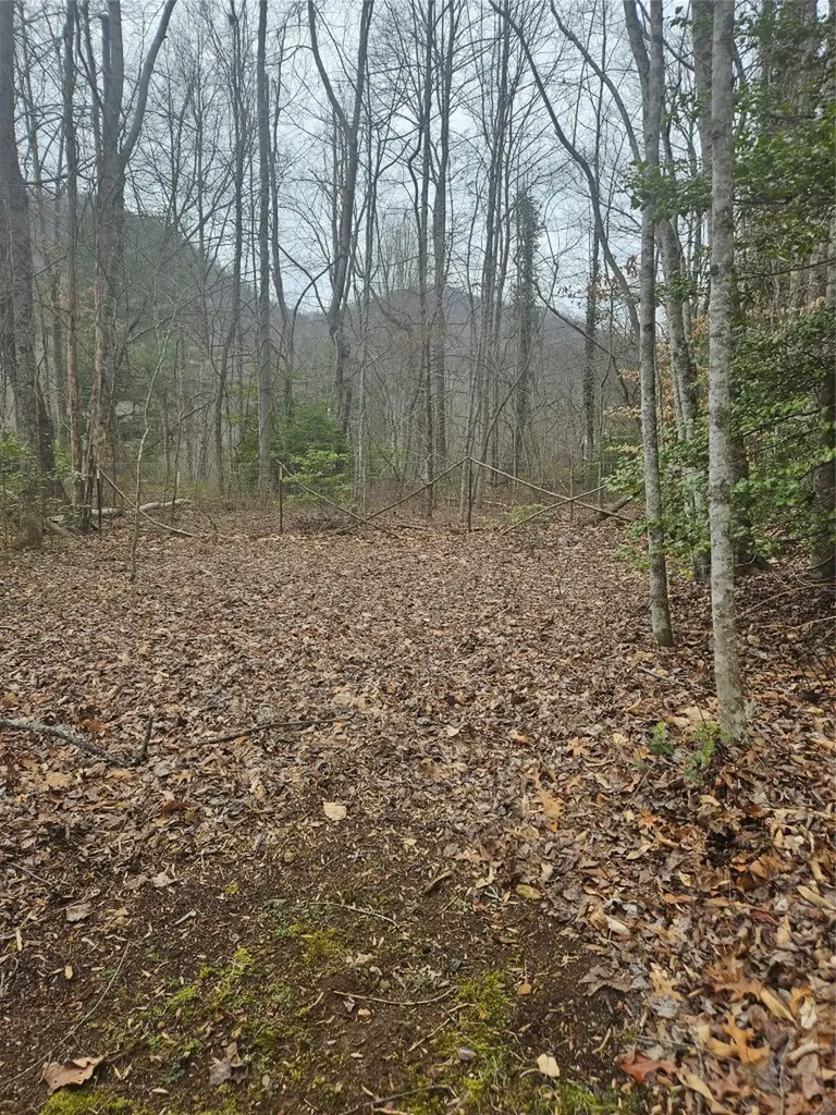 1142 North Country Club Drive Cullowhee NC 28723