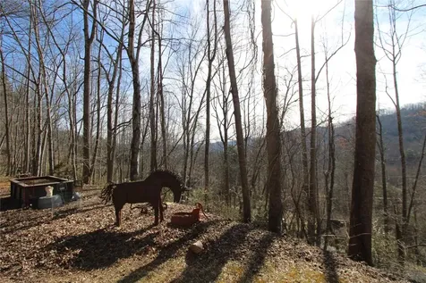 1142 North Country Club Drive Cullowhee NC 28723