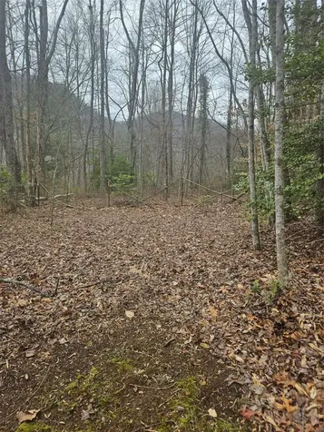 1142 North Country Club Drive Cullowhee NC 28723