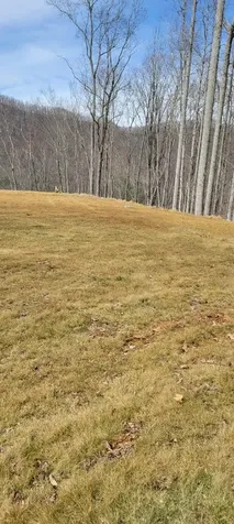 1778 Brasstown Road Cullowhee NC 28723