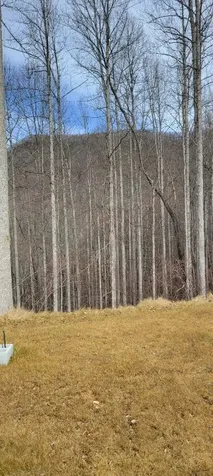 1778 Brasstown Road Cullowhee NC 28723