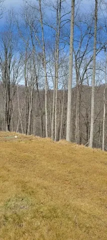 1778 Brasstown Road Cullowhee NC 28723