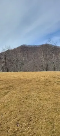 1778 Brasstown Road Cullowhee NC 28723