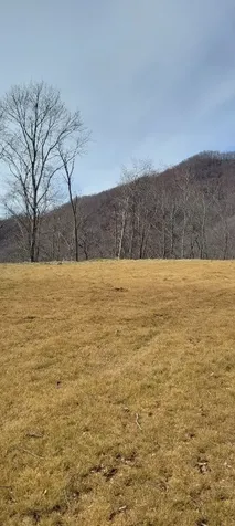 1778 Brasstown Road Cullowhee NC 28723