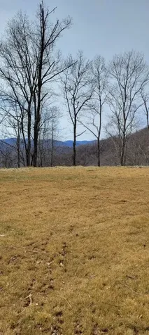 1778 Brasstown Road Cullowhee NC 28723