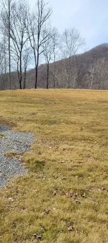 1778 Brasstown Road Cullowhee NC 28723