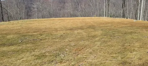 1778 Brasstown Road Cullowhee NC 28723