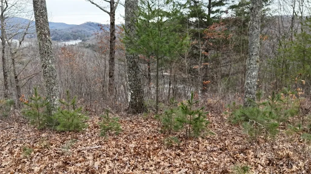 26 Shepherds Gap Road Cullowhee NC 28723