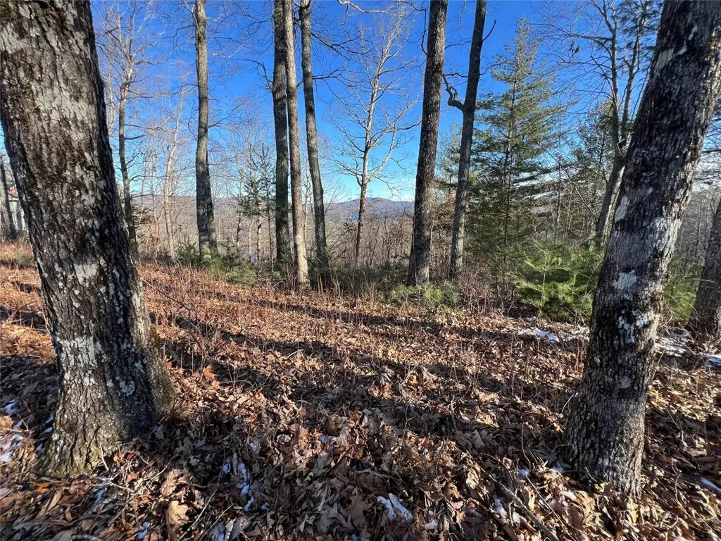 26 Shepherds Gap Road Cullowhee NC 28723