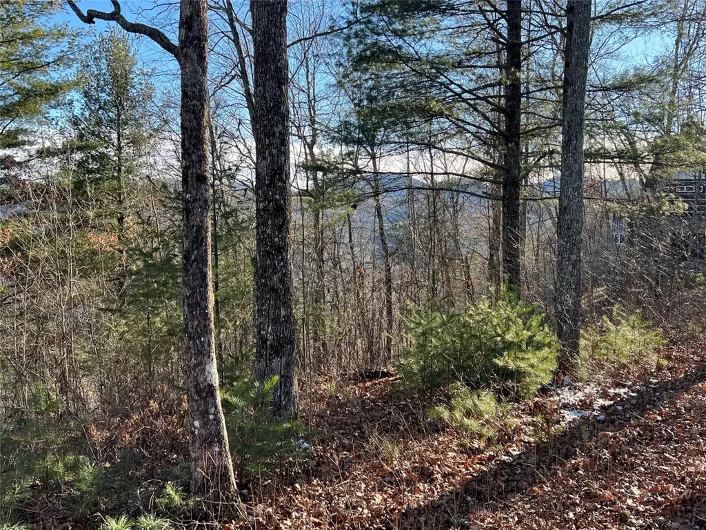 26 Shepherds Gap Road Cullowhee NC 28723