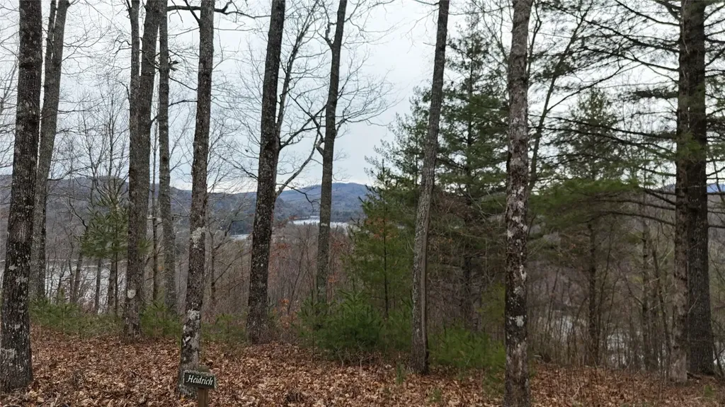 26 Shepherds Gap Road Cullowhee NC 28723