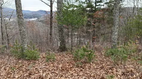 26 Shepherds Gap Road Cullowhee NC 28723