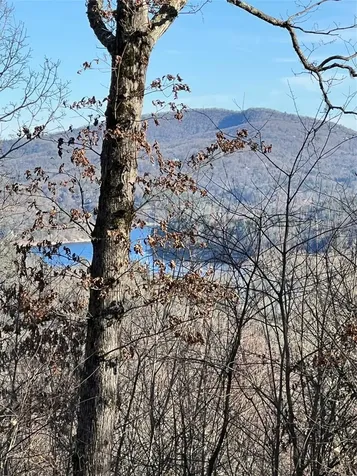 26 Shepherds Gap Road Cullowhee NC 28723